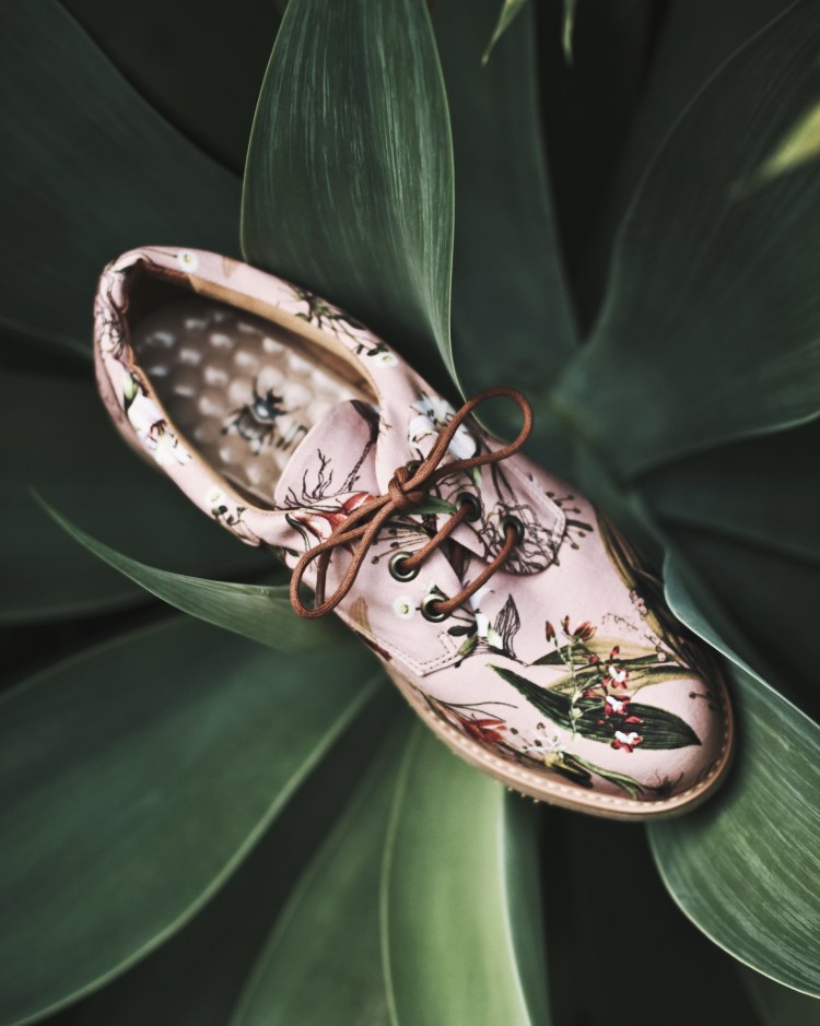 Você conhece a Insecta Shoes?