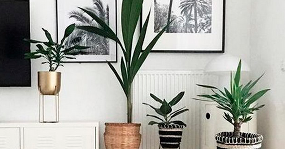 Quarentena consciente: Práticas para ajudar o meio ambiente dentro de casa