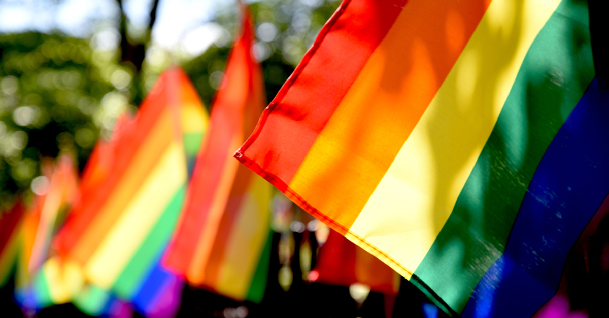 Dia do Orgulho LGBTQIAP+: origem, história, evolução e importância